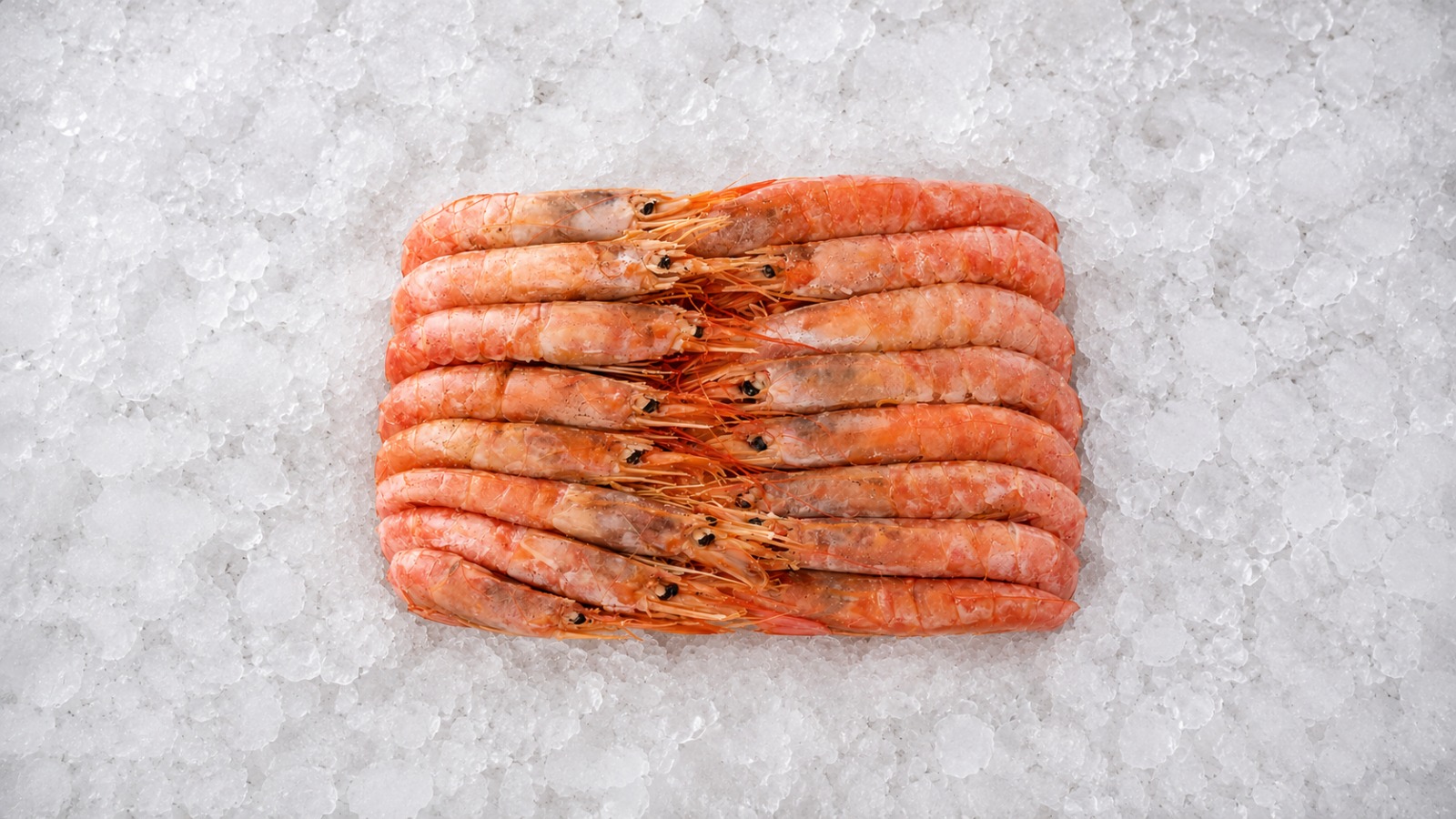 Langostino Entero